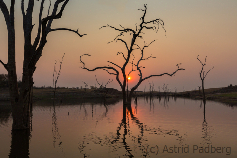 Abendsafari mit dem Boot, Matusadona Nationalpark