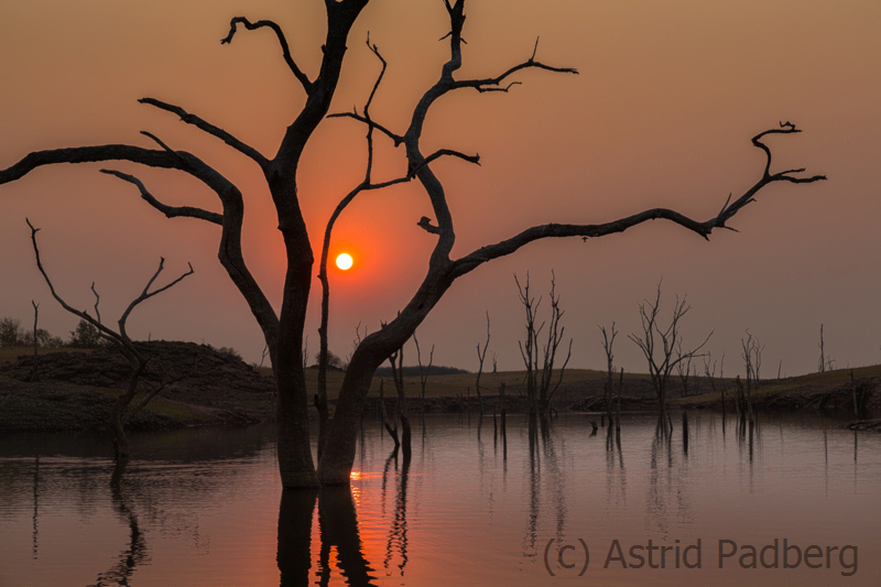 Matusadona Nationalpark