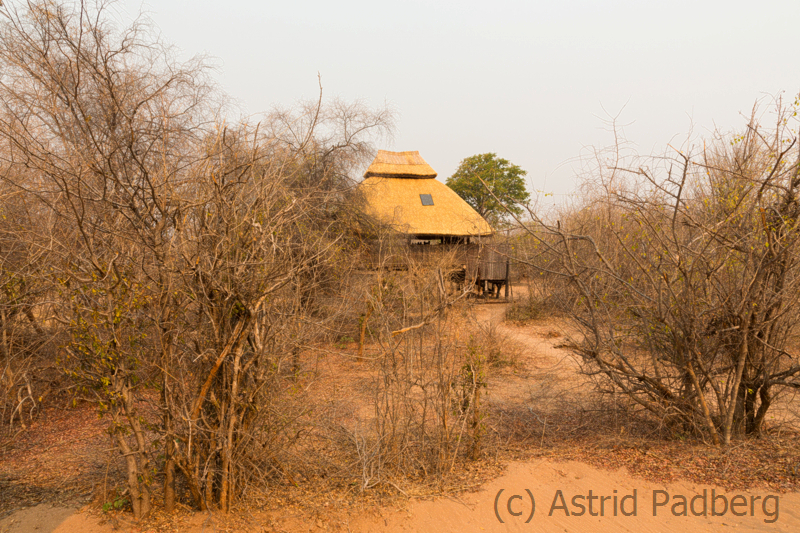 Chalet, Rhino Safari Camp