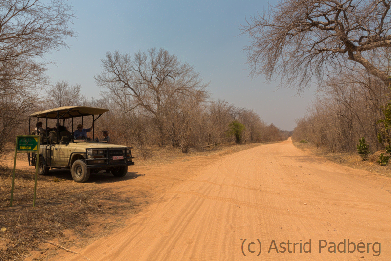 Warten auf Abholer, Mana Pools Nationalpark