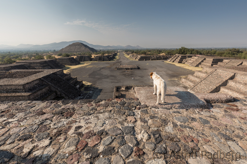 Teotihuacán