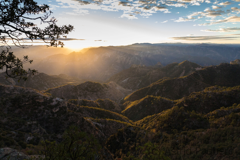 Blick in den Kupfercanyon bei Sonnenaufgang