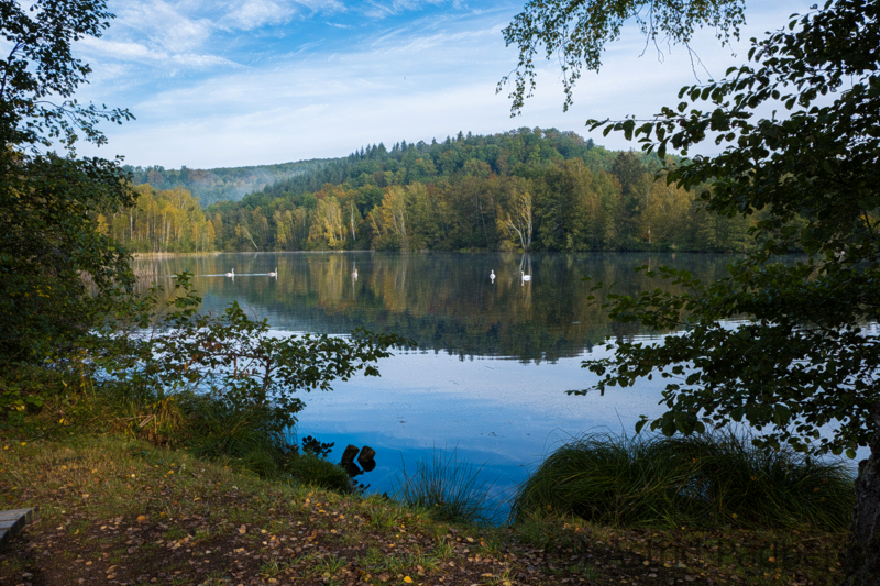 Schöntalweiher, Ludwigstal