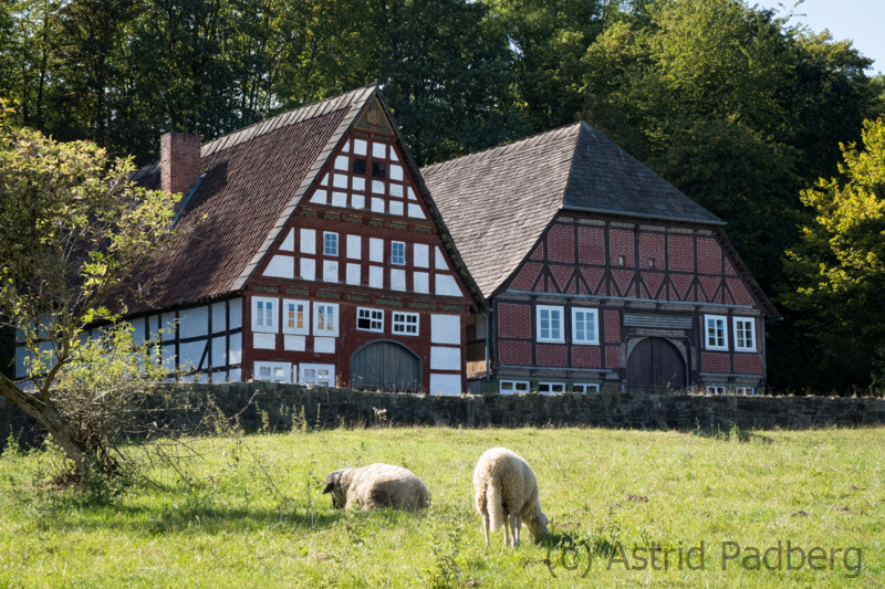 Freilichtmuseum Detmold