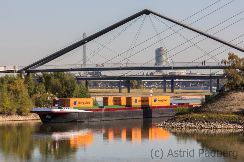 Düsseldorf, Rheinhafen