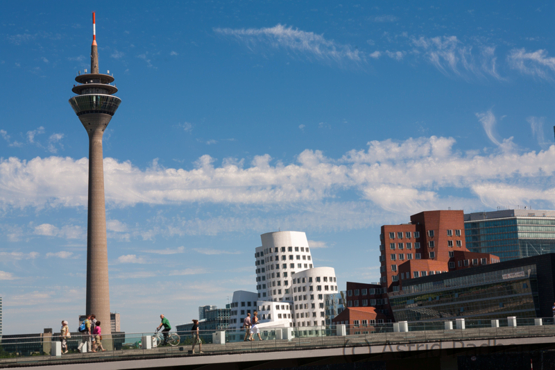 Rheinturm und Gehry Bauten