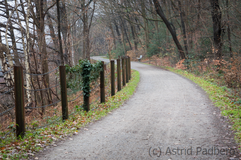 Sambatrasse in Wuppertal