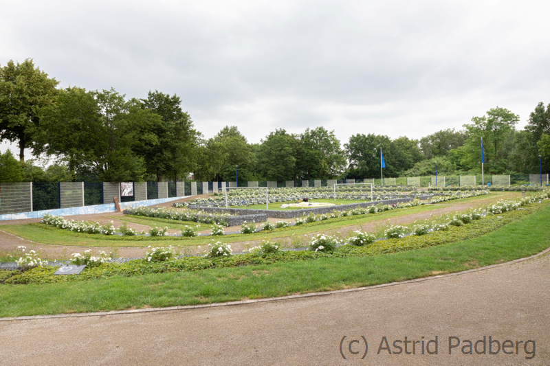 Friedhof für Schalkefans, Gelsenkirchen