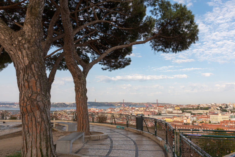 Miradouro do Monte