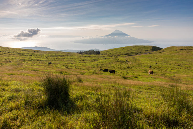 Caldeira, Faial mit Blick auf Pico