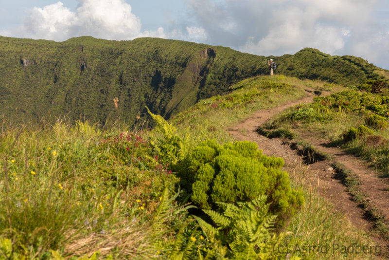 Pfad um die Caldeira von Faial