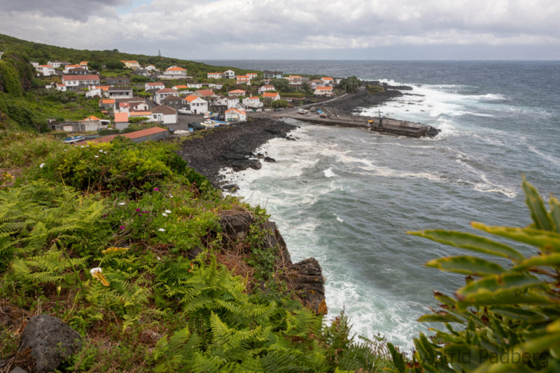 Ponta do Lajido