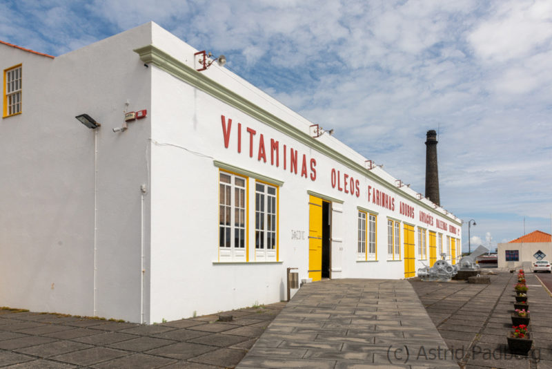 Sao Roque do Pico, Walverarbeitungsfabrik