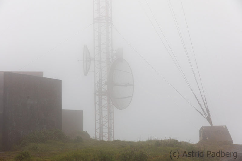 Cerro Santa Barbara im Nebel