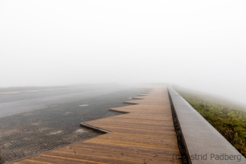 Parkplatz Cerro Santa Barbara im Nebel