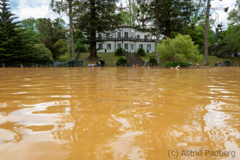 Pool im Terra Nostra Garden