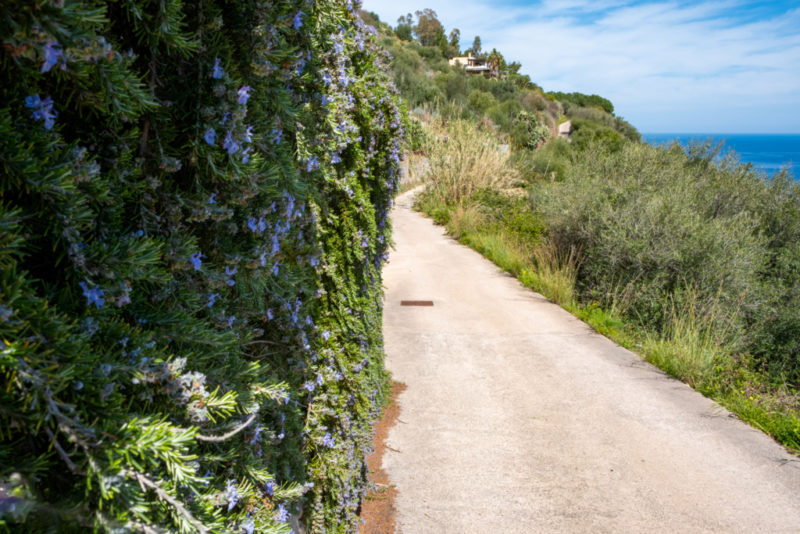 Küstenwanderweg zum Osservatorio