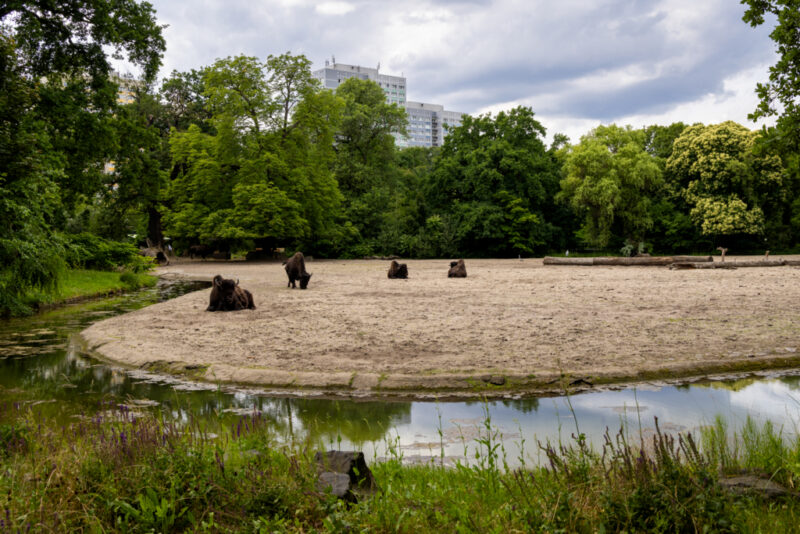 Tierpark Berlin