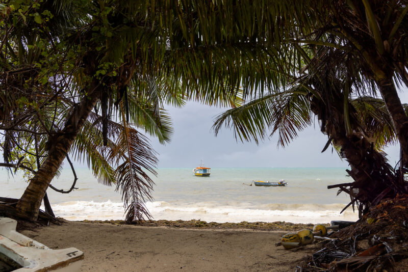 Praslin, Grand Anse