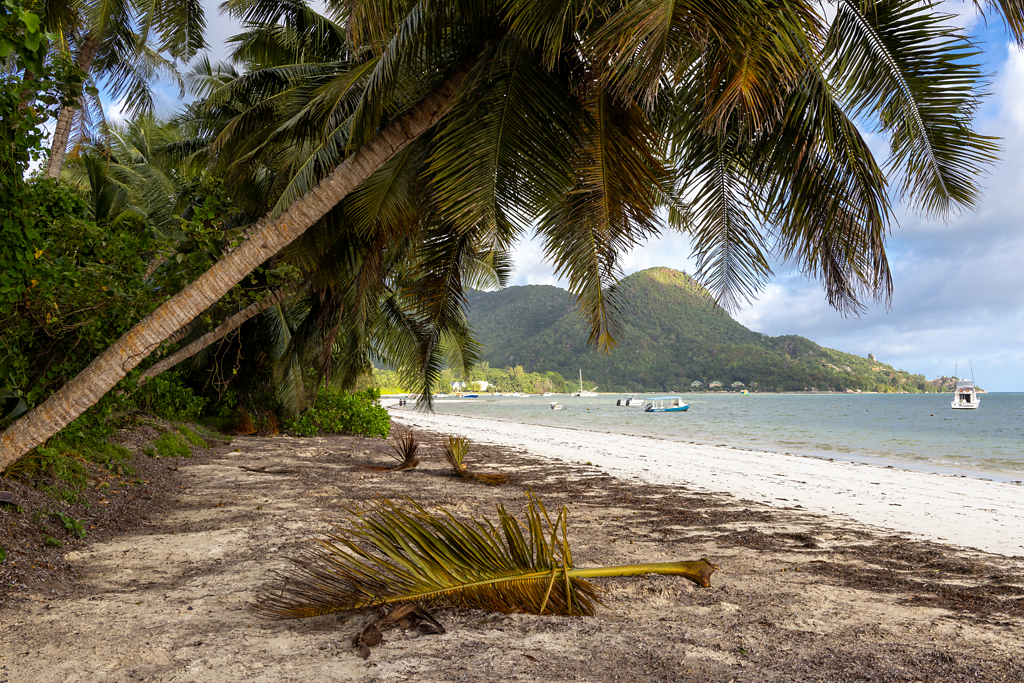 Grand Anse, Praslin