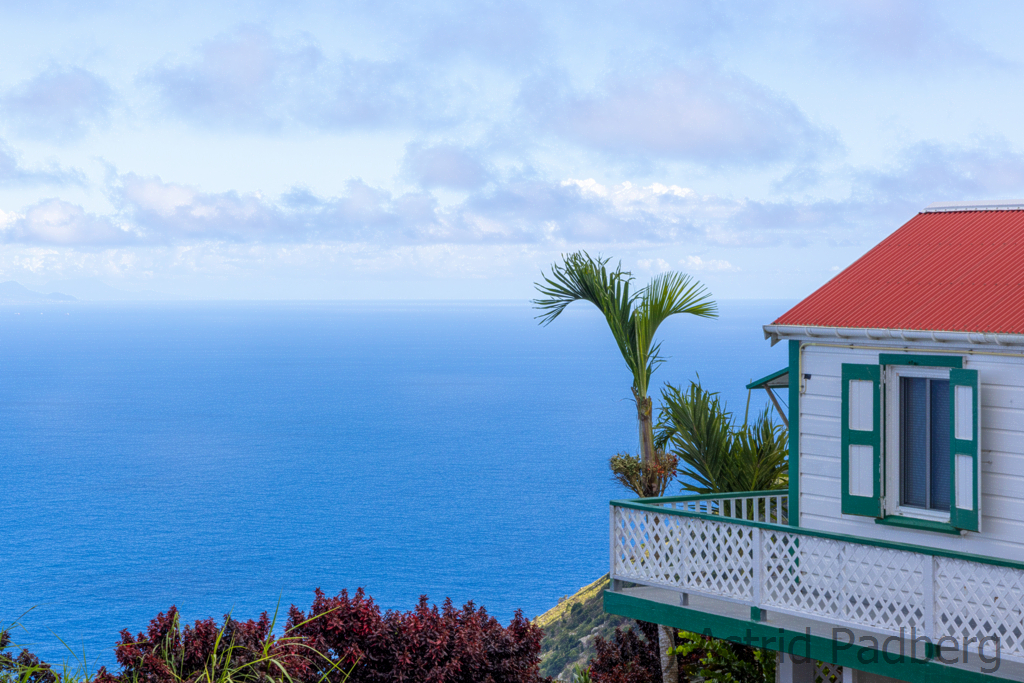 Saba