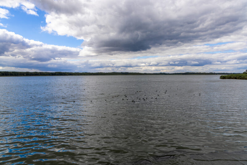 Großer Teich, Torgau