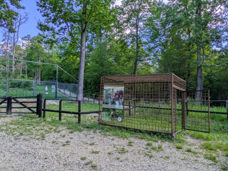 Käfig in dem ein Braunbär gehalten wurde