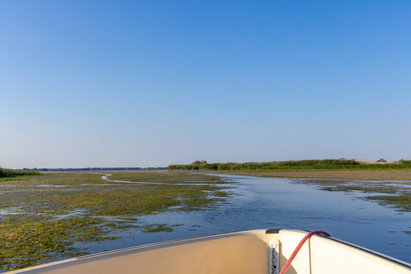 See im Donaudelta