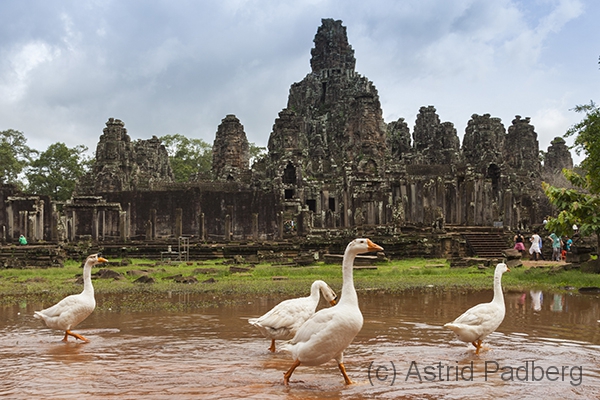 Bayon-Tempel