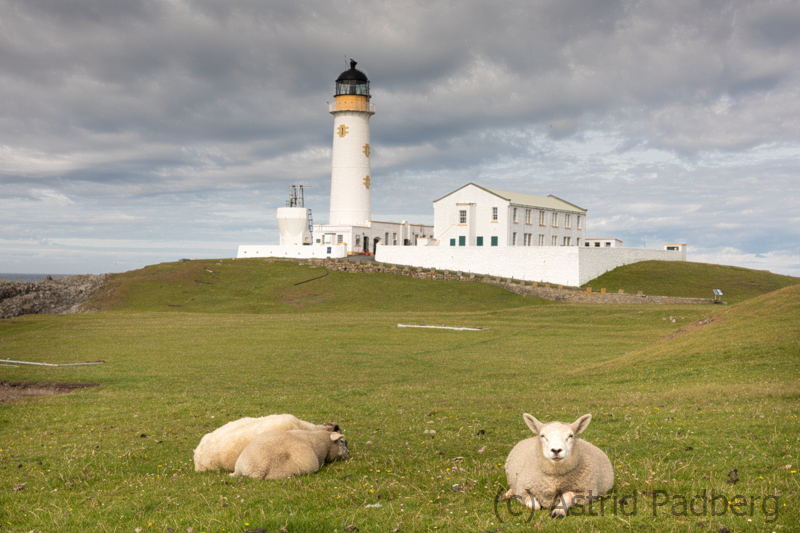 Fair-Isle-Southern-Lighthouse