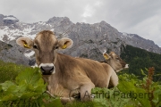 Dachstein und 5-Hütten-Weg