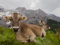 Dachstein und 5-Hütten-Weg