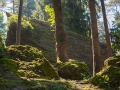 Landschaft Tierpark Goldau