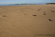 Llanddwyn Bay