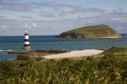 Leuchtturm und Puffin Island