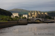 Conwy Castle