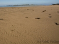 Llanddwyn Bay