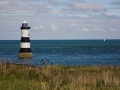 Leuchtturm und Puffin Island