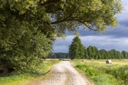 Wanderung von Annaburg nach Löben