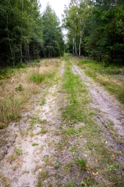 Wanderung von Annaburg nach Löben
