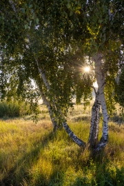 Wanderung von Annaburg nach Löben