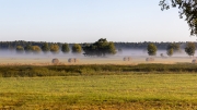 Wanderung von Annaburg nach Löben