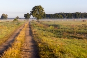 Wanderung von Annaburg nach Löben