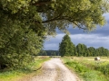 Wanderung von Annaburg nach Löben