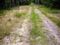 Wanderung von Annaburg nach Löben