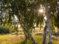 Wanderung von Annaburg nach Löben