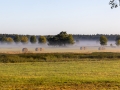 Wanderung von Annaburg nach Löben