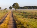 Wanderung von Annaburg nach Löben