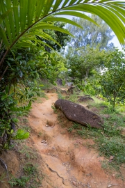 Auf dem Weg zum Anse Mayor