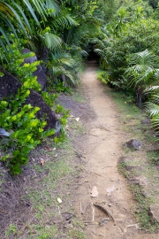 Auf dem Weg zum Anse Mayor